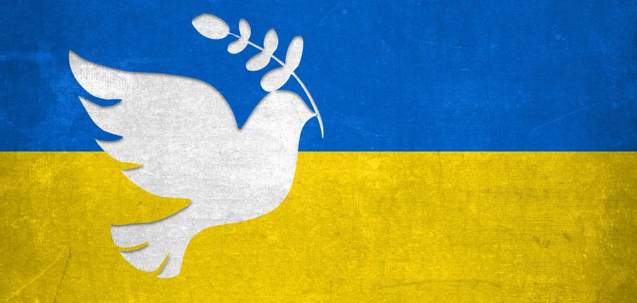 Eine Friedenstaube auf der ukrainischen Flagge.