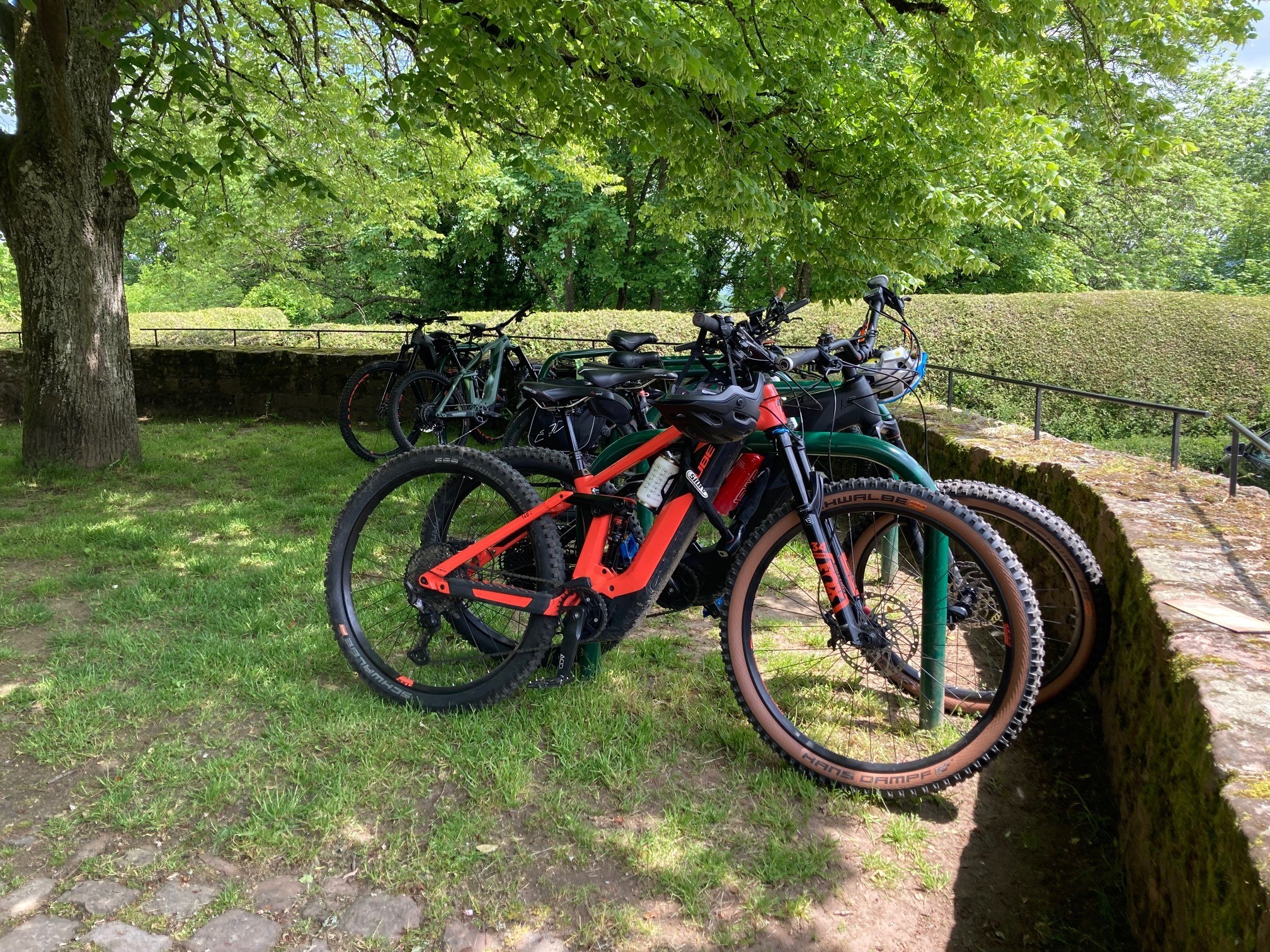 Auf einer Wiese abgestellte Fahrräder.