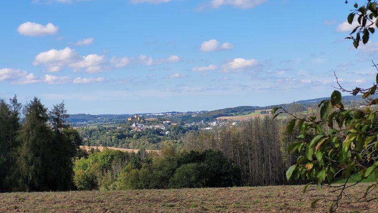 Blick auf Schloss Montabaur