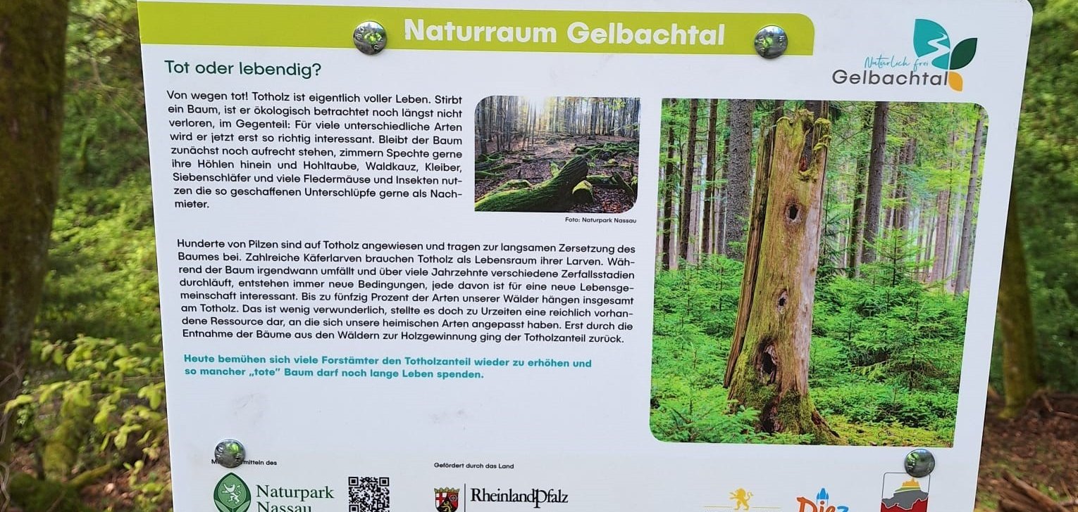 Eine der Infotafeln am Gelbachtrail.