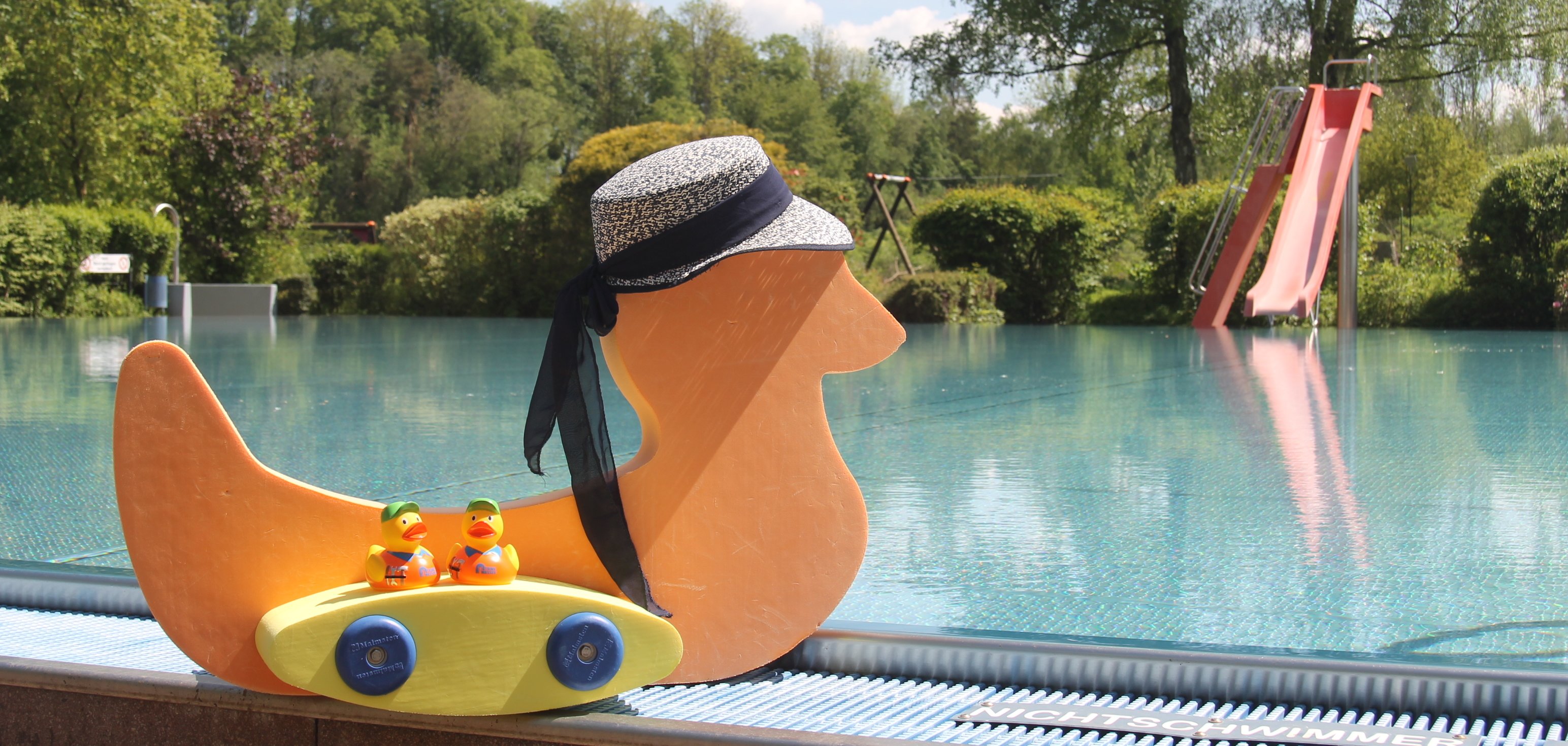 Die Schwimmenten stehen am Beckenrand des Freibades und warten, dass es endlich los geht.