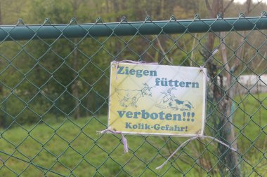 Das Warnschild am Zaun mit dem Hinweis "Ziegen füttern verboten! Kolik-Gefahr!"