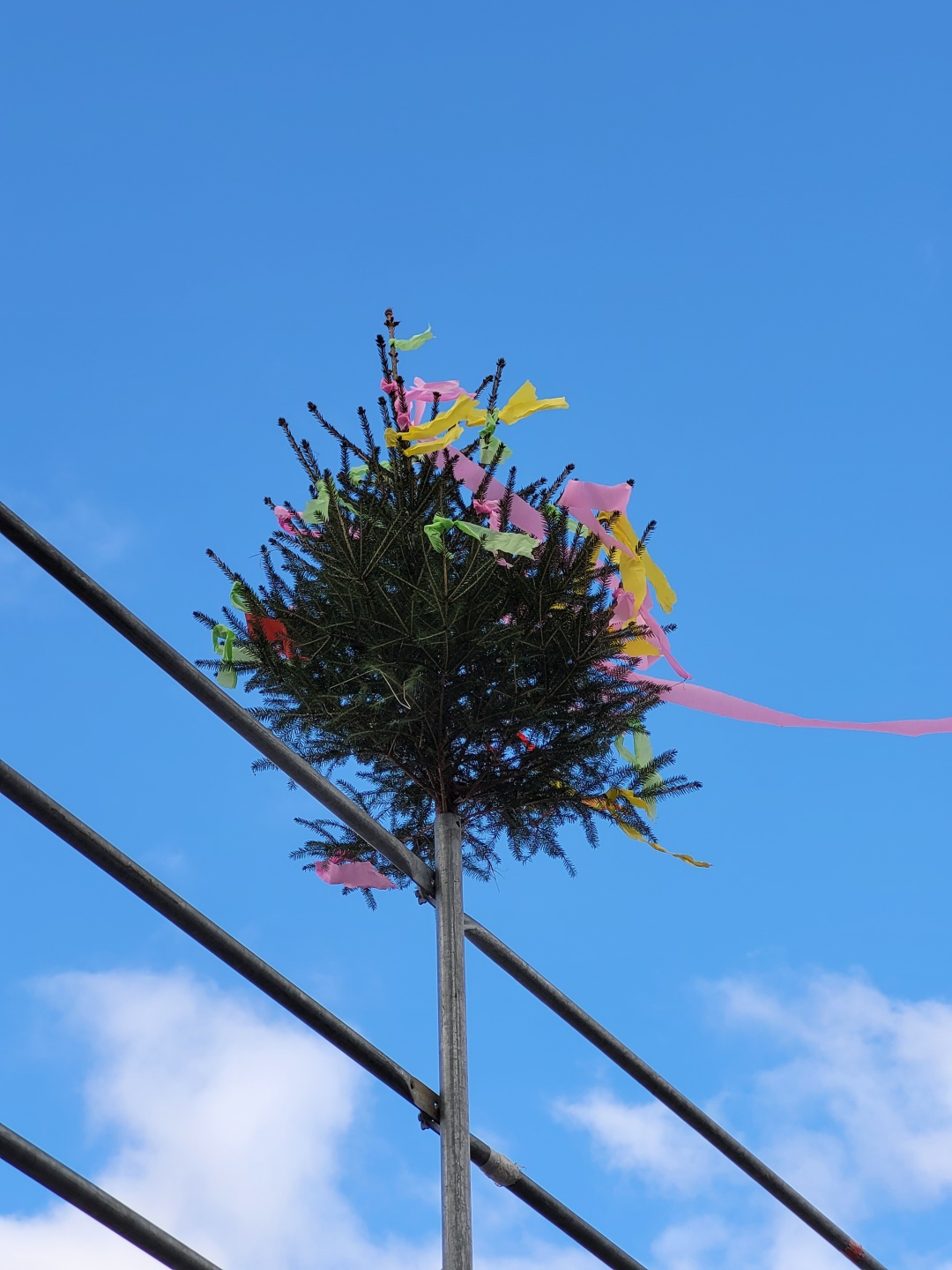 Ein mit bunten Bändern geschmückter Richtbaum aus Tannenzweigen ist auf einem Baugerüst befestigt und ragt vor einem klaren, blauen Himmel empor. Die farbigen Stoffstreifen in Gelb, Rosa und Grün wehen im Wind – traditionell als Zeichen eines erfolgreichen Rohbaus.