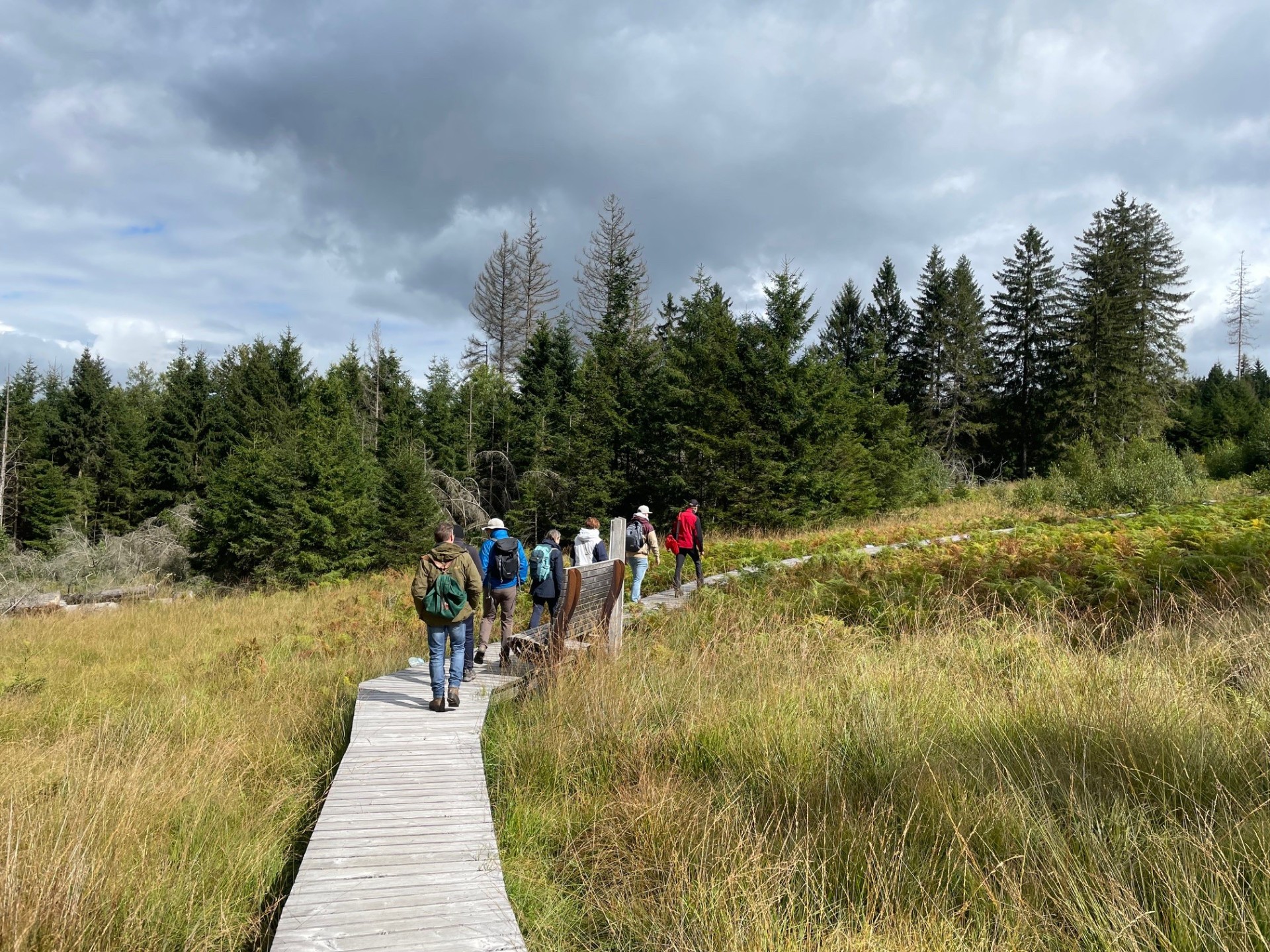 Eine Gruppe von Menschen wandert auf einem schmalen Holzbohlenweg durch eine offene Moor- oder Wiesenlandschaft, umgeben von dichten Tannenwäldern unter teils bewölktem Himmel.
