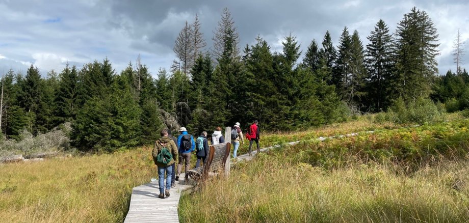 Eine Gruppe von Menschen wandert auf einem schmalen Holzbohlenweg durch eine offene Moor- oder Wiesenlandschaft, umgeben von dichten Tannenwäldern unter teils bewölktem Himmel.