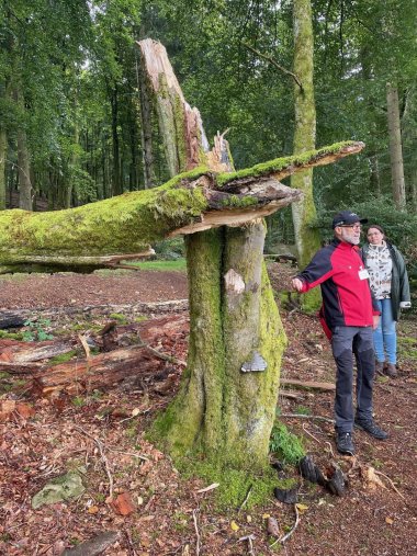 Ein Mann in roter Jacke erklärt neben einem moosbewachsenen, gebrochenen Baumstamm mit Pilzbewuchs im Wald, während eine Frau daneben zuhört. Um den Baum herum liegen Totholz und Laub auf dem Waldboden.