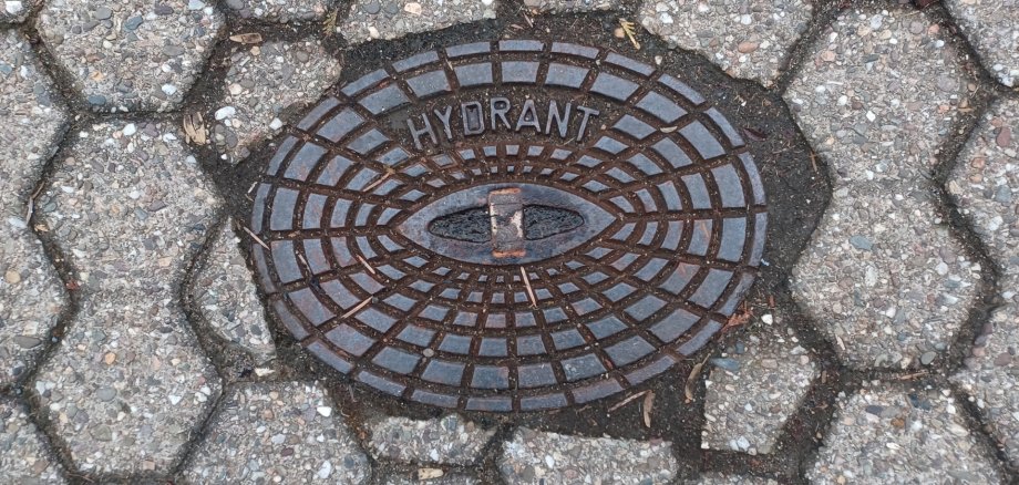 Hydrantendeckel Hydrantendeckel