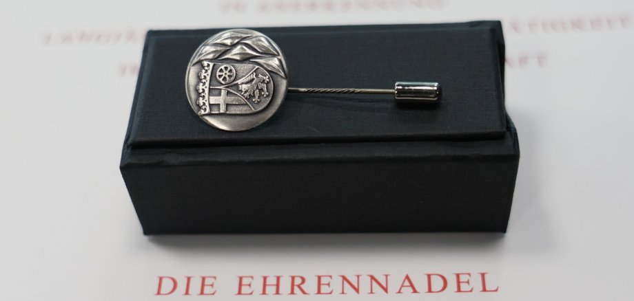 Ehrennadel RLP Ehrennadel RLP