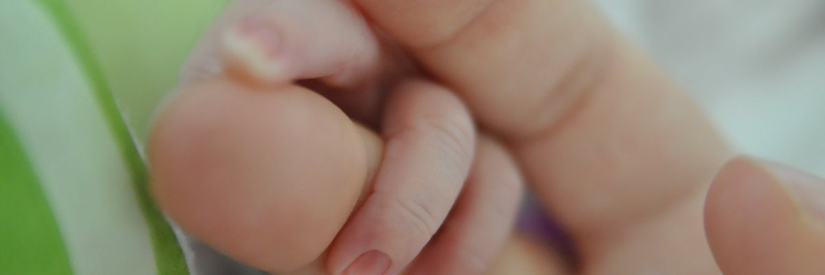 Bild zeigt Finger von Baby und Erwachsenem