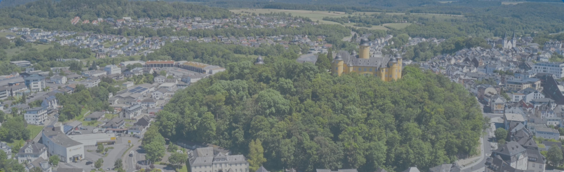 Luftbildaufnahme Montabaur mit Schloß