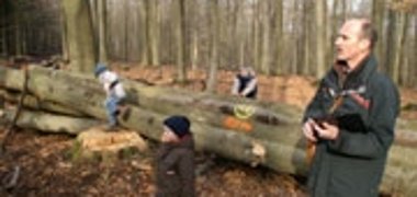 Brennholz