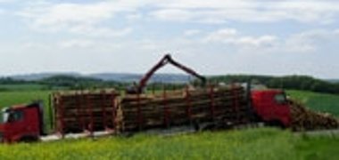 Brennholz