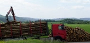 Rohstoff Holz