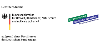 BMUV_ANK-BMUV_Logo_Digital_RGB