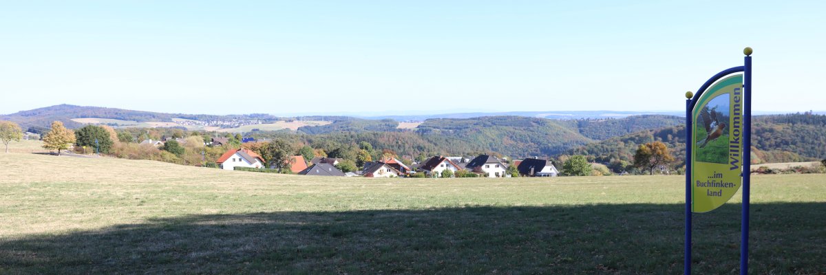 Ansicht auf Hübingen.