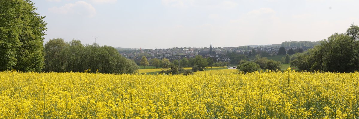 Blick über ein Rapsfeld auf Nentershausen.