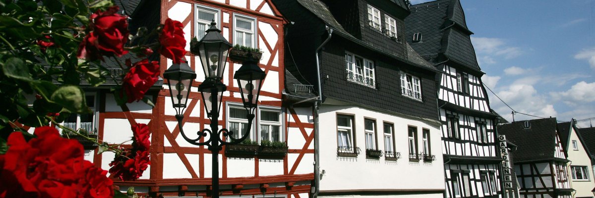 Bild zeigt Alter Rebstock Montabaur